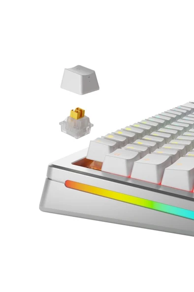 Glorious Panda Hall Effect Sessiz Mekanik Klavye Switch 36 Adet Outlet - Resim 2