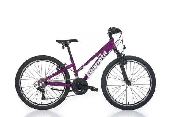 BIANCHI XR24.3 KADIN DAĞ BİSİKLETİ 310H V 24 JANT 21 VİTES MÜRDÜM GRİ ürün görseli 1