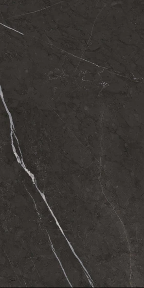 300X600 NEVADA SIYAH TAM PARLAK REKTIFIYE - 1 kutu 1. m2 ürün görseli 1