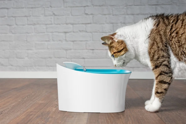 Otomatik Uyarılı Kedi Köpek Su Kabı ürün görseli 1