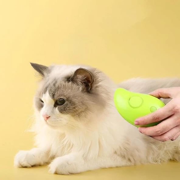 Buharlı Kedi Tarağı - Resim 2
