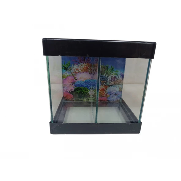 Betta Akvaryumu İki Bölmeli 20 Cm 5 Litre Siyah Renk ürün görseli 1