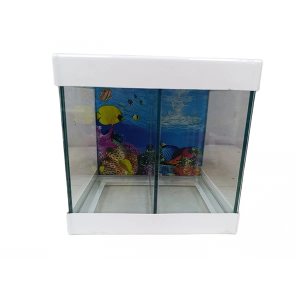 Betta Akvaryumu İki Bölmeli 20 Cm 5 Litre Beyaz Renk ürün görseli 1