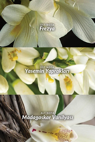AVON Far Away Kadın Parfüm 50 Ml. - Resim 3
