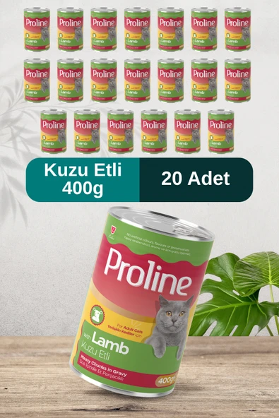 Pro Line Kuzu Etli Sos İçinde Et Parçacıklı Kedi Konservesi 400g x 20 Adet ürün görseli 1