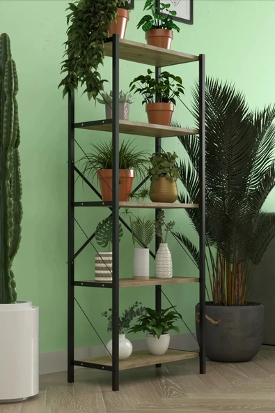 DizaynMotion 150 cm Dekoratif Bahçe Dolabı 5 Raflı Atlantik Çam ürün görseli 1