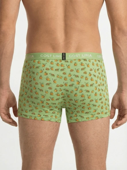 Tortoise Desenli Erkek Boxer - Resim 5