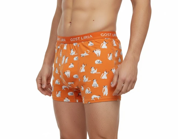 Silver Cat Desenli Erkek Boxer - Resim 4