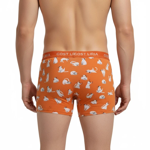 Silver Cat Desenli Erkek Boxer - Resim 5