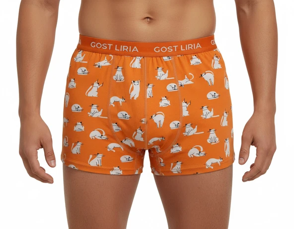 Silver Cat Desenli Erkek Boxer - Resim 3