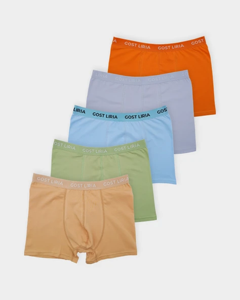 Wibe  Erkek Boxer 5 li Paket -Çok Renkli ürün görseli 1