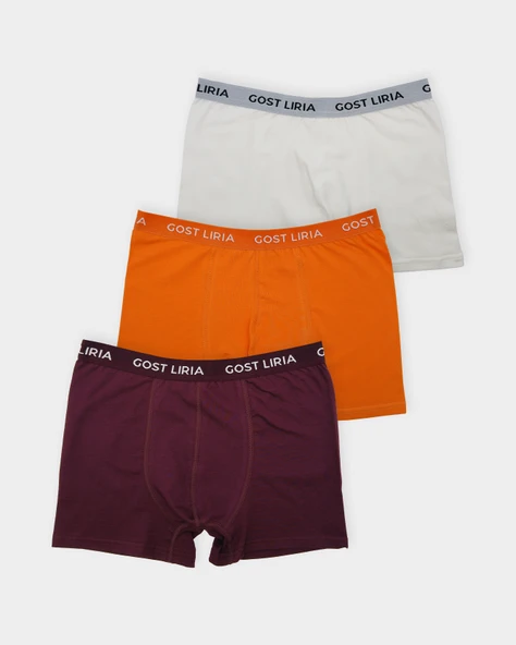 İdentity Erkek Boxer – 3’lü Paket Çok Renkli ürün görseli 1