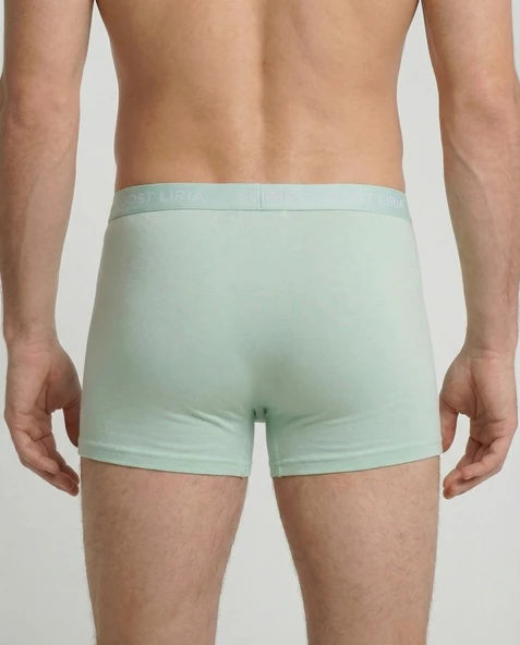 Celadon  Boxer Yeşil - Resim 5