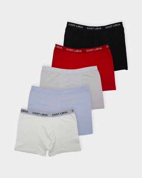 Daily Five Boxer 5'li Paket - Çok Renkli ürün görseli 1