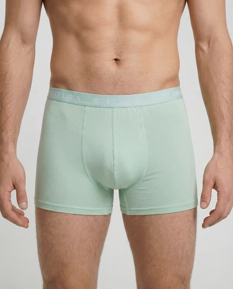 Celadon  Boxer Yeşil - Resim 3