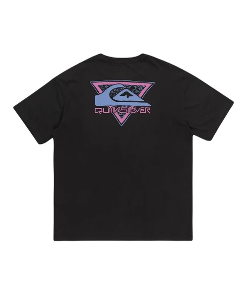 Quiksilver Take Us Back Logo Ss Erkek Tişört - Resim 8