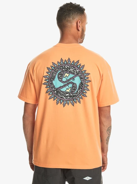 Quiksilver Spin Cycle Ss Erkek Tişört - Resim 5