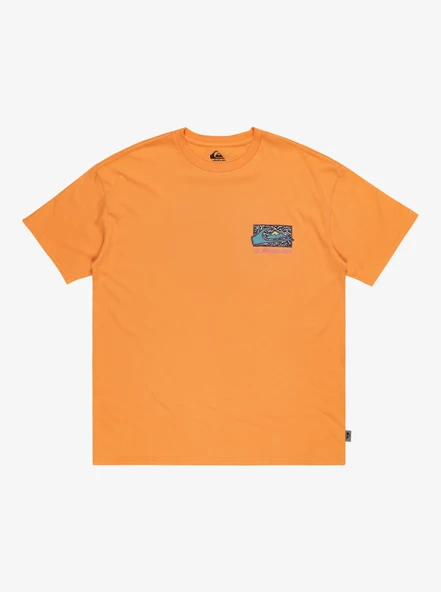 Quiksilver Spin Cycle Ss Erkek Tişört - Resim 8