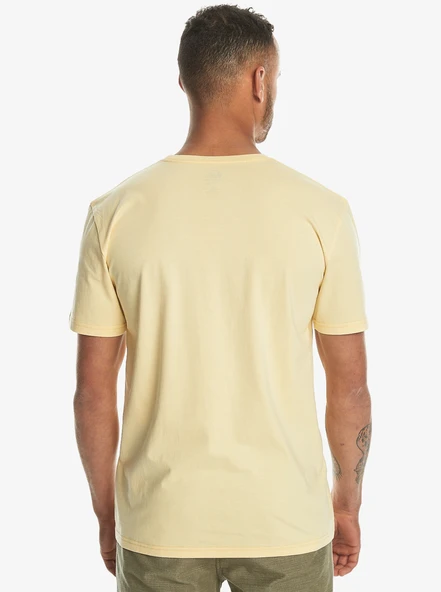 Quiksilver Mw Mini Logo Ss Erkek Tişört - Resim 6