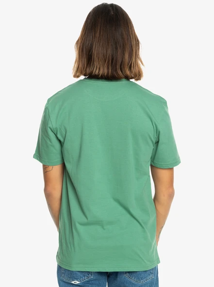 Quiksilver Comp Logo Ss Erkek Tişört - Resim 11