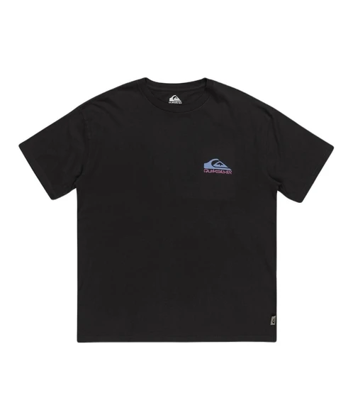 Quiksilver Take Us Back Logo Ss Erkek Tişört - Resim 6