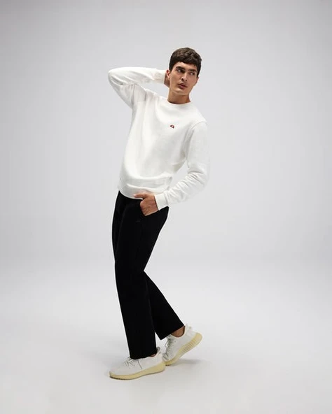 Ellesse Erkek Sweatshirt EM579 ürün görseli 1
