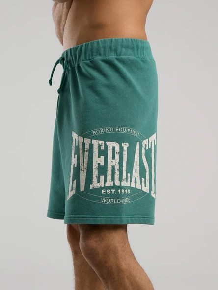 Everlast Authentic Boxing Erkek Şort TM0012 - Resim 7