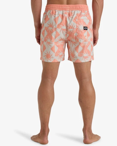 Billabong Vacay Lb Erkek Şort - Resim 6