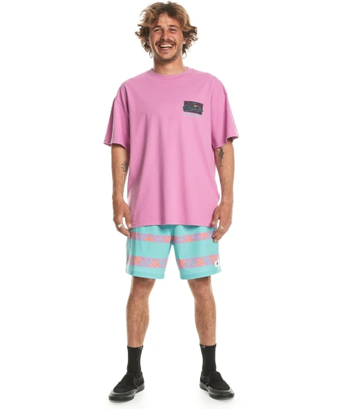 Quiksilver Spin Cycle Ss Erkek Tişört - Resim 9