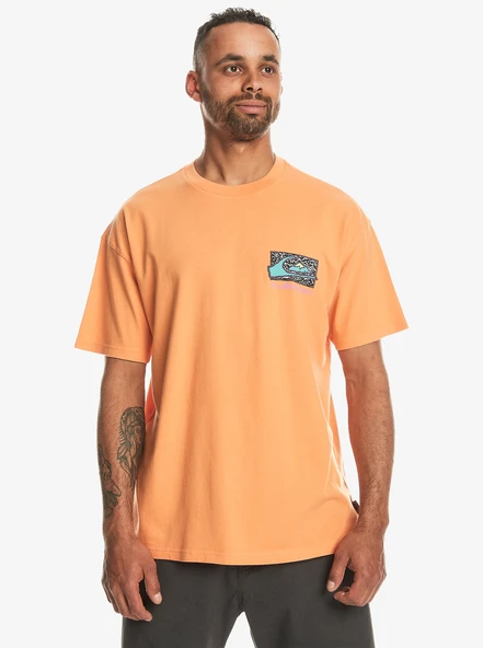Quiksilver Spin Cycle Ss Erkek Tişört - Resim 2