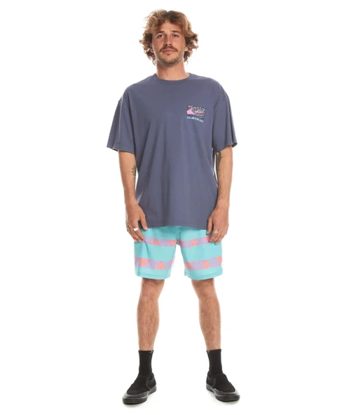 Quiksilver Spin Cycle Ss Erkek Tişört - Resim 7