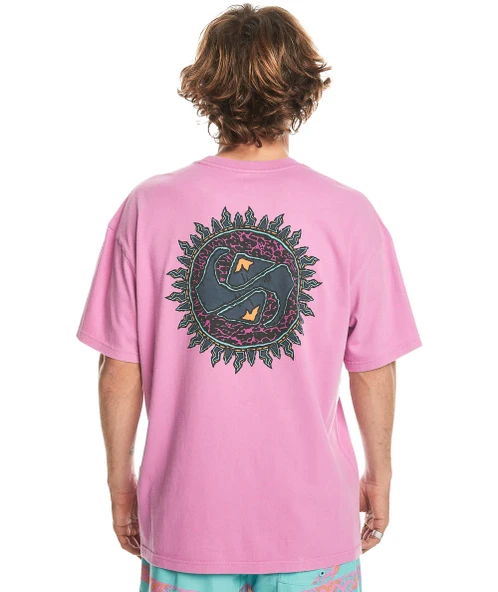 Quiksilver Spin Cycle Ss Erkek Tişört - Resim 6