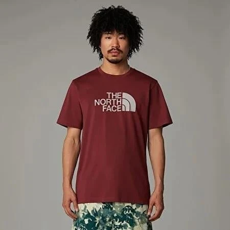 The North Face M Ss Easy Tee Erkek T-Shirt ürün görseli 1