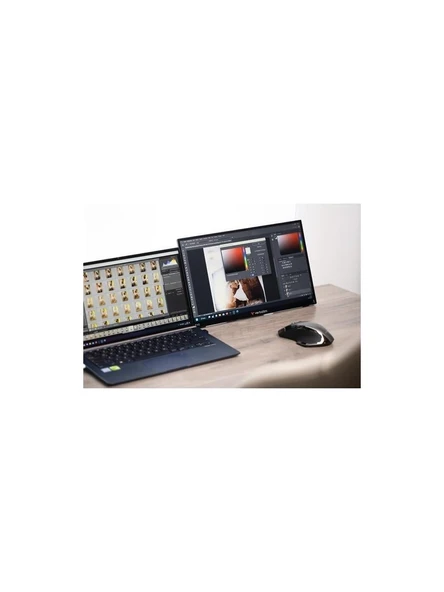 Verbatim PMT-15 15.6" 6 ms Full HD IPS Taşınabilir Monitör ürün görseli 1