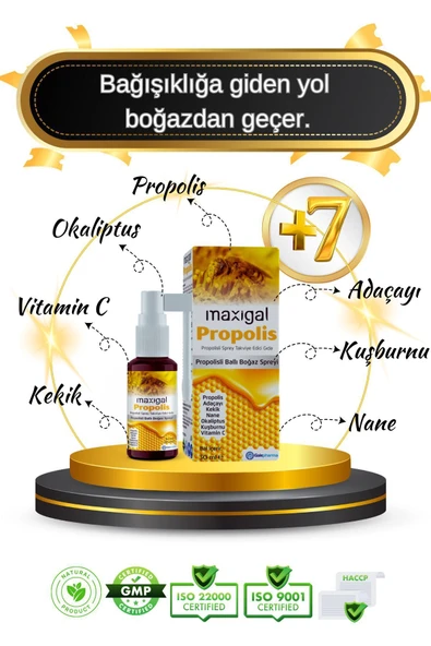 MAXİGAL Propolisli Ballı Boğaz Spreyi 30 ml - Resim 7