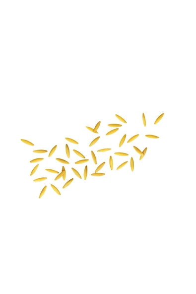 Barilla Risoni/Arpa Şehriye 500 Gr - Resim 2