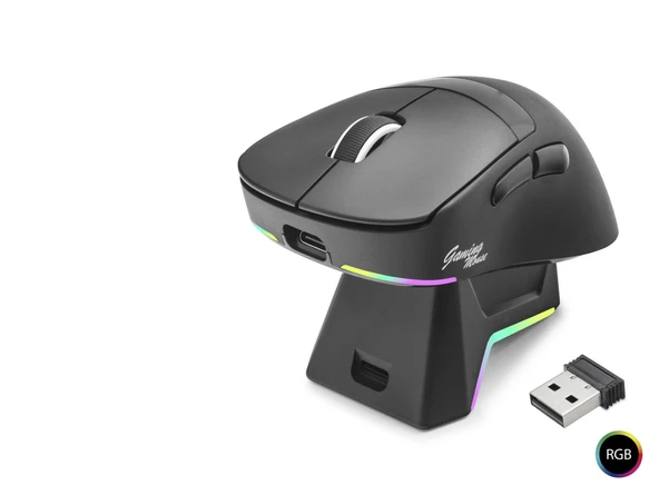 Kablosuz Gaming Rgb Mouse Şarj Standlı - Siyah MF1216B ürün görseli 1