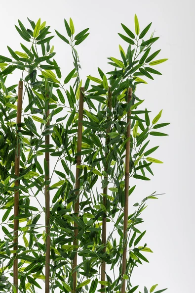 Yapay Bambu Seperatör Ahşap 100 Cm (Antrasit ) - Resim 2