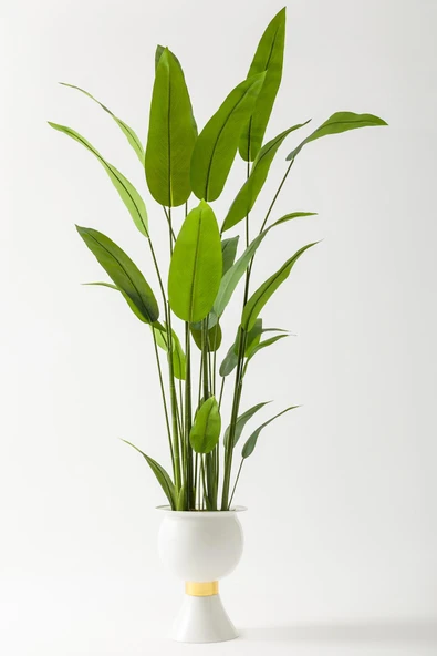 Yapay Starliçe Ağacı 220 Cm 24 Yaprak ürün görseli 1