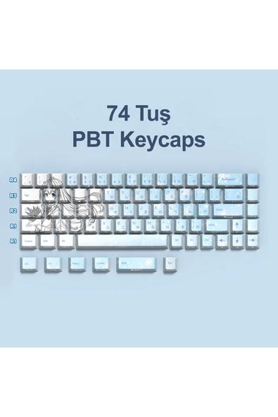 silabor 74 Tuş Orijinal Yan Baskılı Yarı Saydam PBT Süblimasyon Mekanik Klavye Tuşları Klavye Keycaps ürün görseli 1