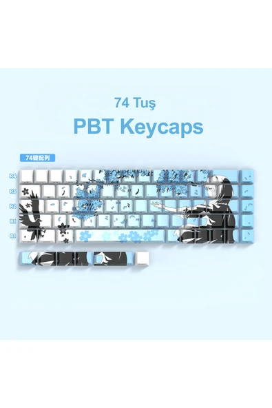 silabor 74 Tuş Orijinal Yan Baskılı Yarı Saydam PBT Süblimasyon Mekanik Klavye Tuşları Klavye Keycaps ürün görseli 1
