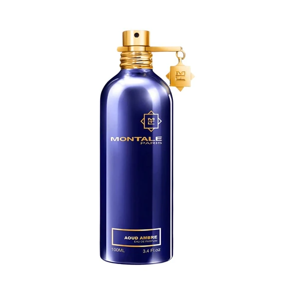 Montale Aoud Ambre EDP 100 ml Unisex Parfüm ürün görseli 1