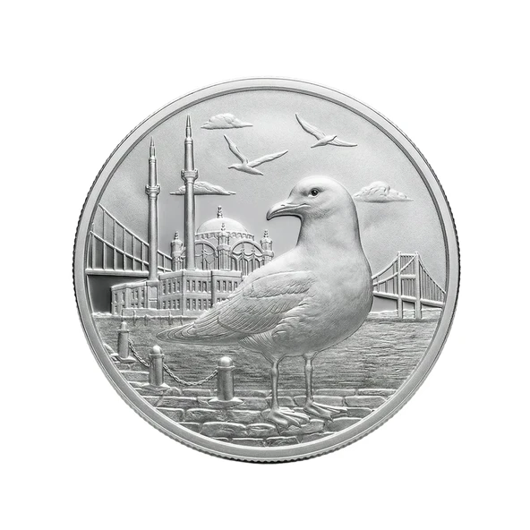 AgaKulche İstanbul Martısı Gümüş Sikke Coin ürün görseli 1