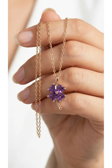 ÇEKİRDEK JEWELRY 925 Ayar Gümüş Mortaşli Yonca Kolye ürün görseli 1