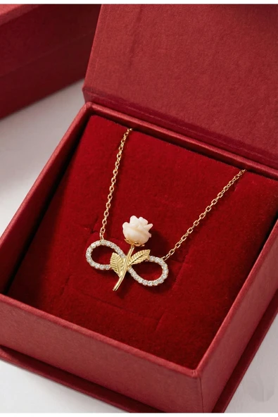 ÇEKİRDEK JEWELRY 925 Ayar Gümüş Sonsuzluk Güllü Kolye ürün görseli 1
