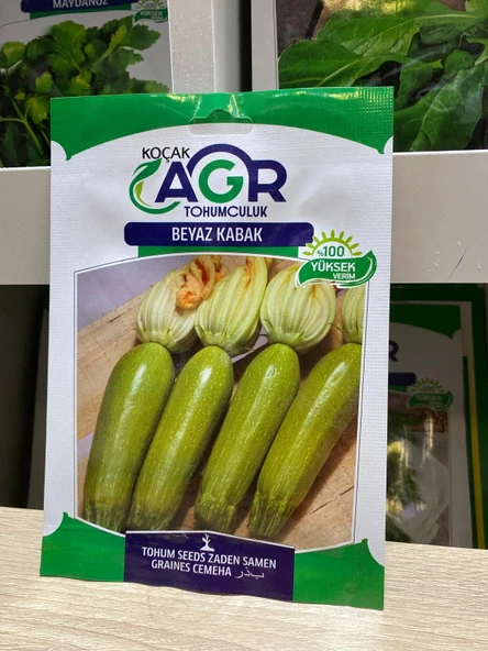 Agr Beyaz Kabak Tohumu 5 Gr ürün görseli 1