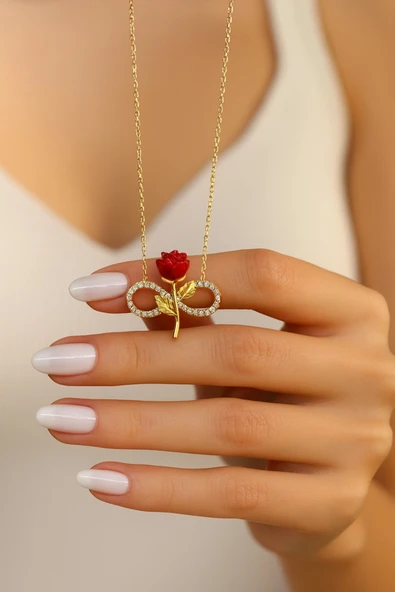 ÇEKİRDEK JEWELRY 925 Ayar Gümüş Sonsuzluk Güllü Kolye ürün görseli 1