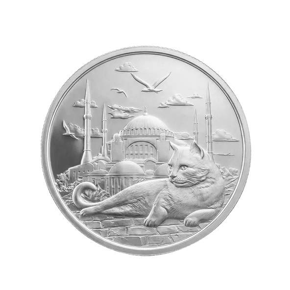 AgaKulche İstanbul Kedisi Gümüş Sikke Coin ürün görseli 1