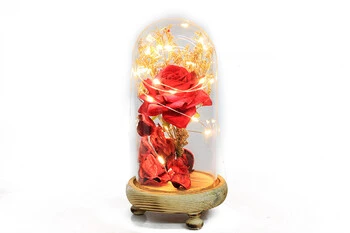 Fanus Gül 19/10cm    ( 35 İS ) ürün görseli 1