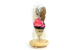 Fanus Gül 28/12cm   ( 35 İS ) ürün görseli 1